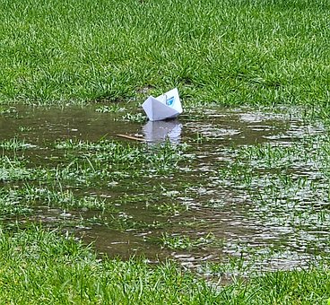 Free Garden Lawn photo and picture