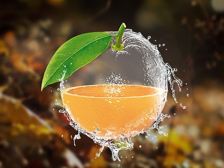 Free Orange Citrus illustration and picture