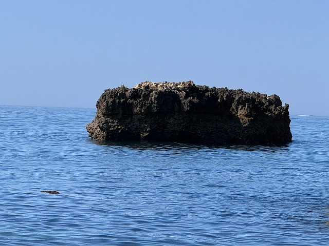 Free Island Nature photo and picture