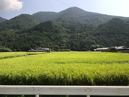 Free Mountain View Early Summer illustration and picture