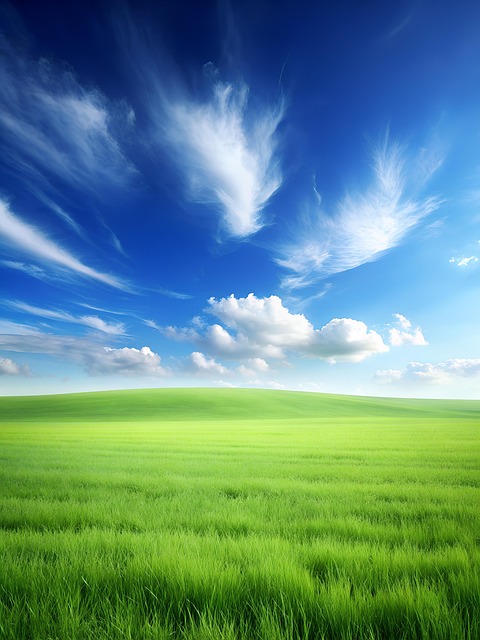 Free Field Green illustration and picture