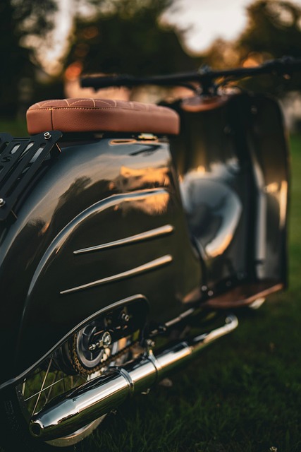 Free Swallow Scooter photo and picture
