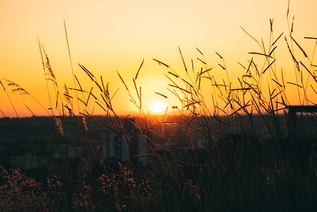 Solnedgang, Natur, Landskab, Skumring