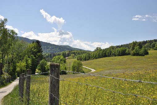 Free Landscape Nature photo and picture