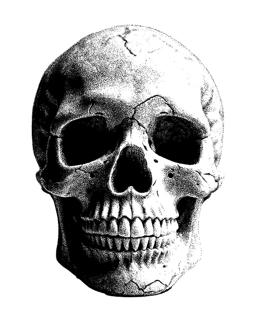 Free skull white black dots effect illustration