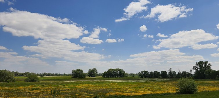 Free Sky Clouds photo and picture