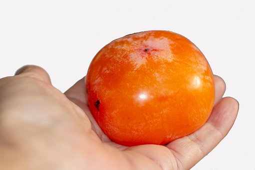 Free Persimmon Fruit photo and picture