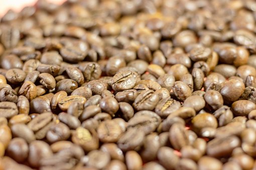 Free Coffee Beans photo and picture