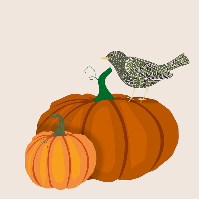 Free blackbird bird autumn illustration