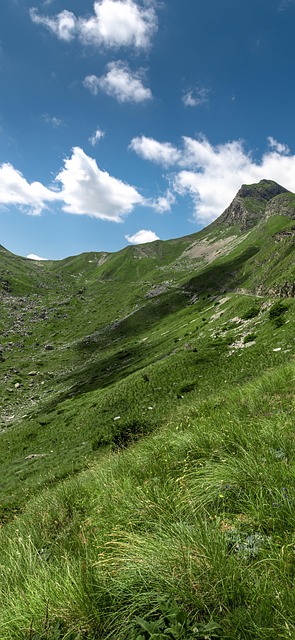 Grassland, Mountain Peaks, Sky