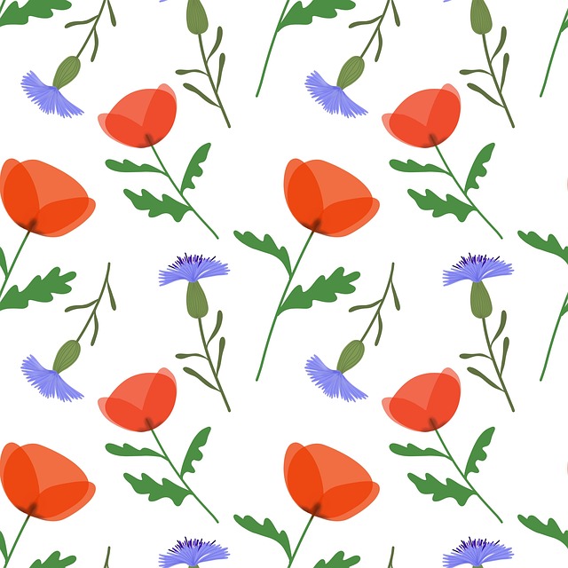 Dibujo, Amapola, Intenso, Lobo