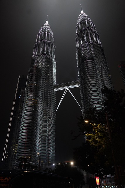 Free Twin Tower photo and picture