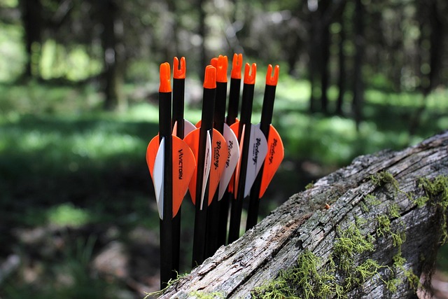 Archery Arrows Sport - Free photo on Pixabay