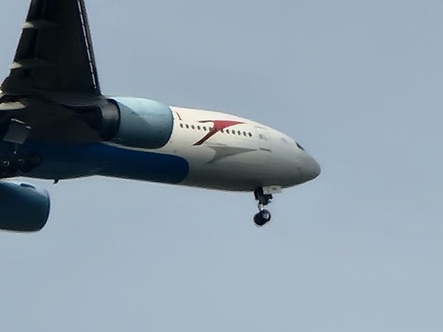 Free Airline Plane photo and picture