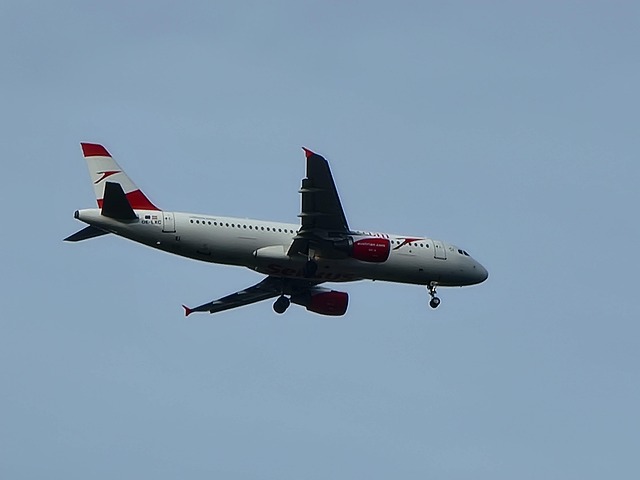 Free Plane Flight photo and picture