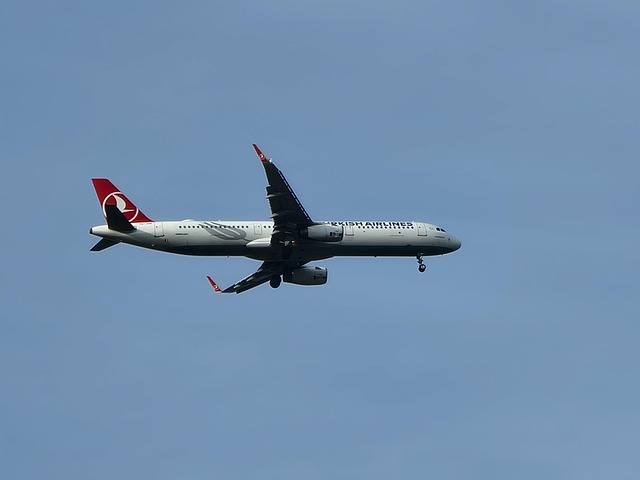 Free Plane Flight photo and picture