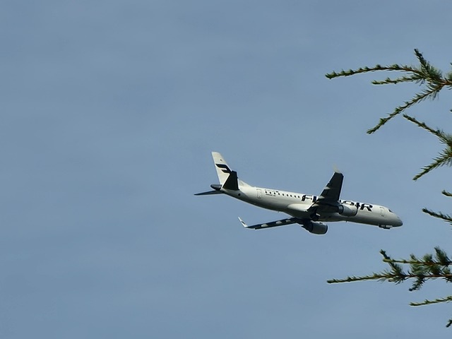 Free Plane Flight photo and picture