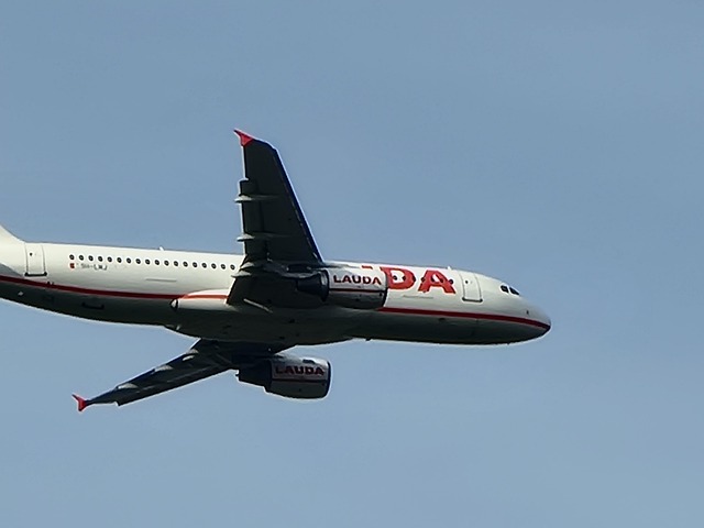 Free Plane Airline photo and picture