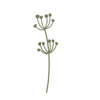 Free Flower Plant illustration and picture