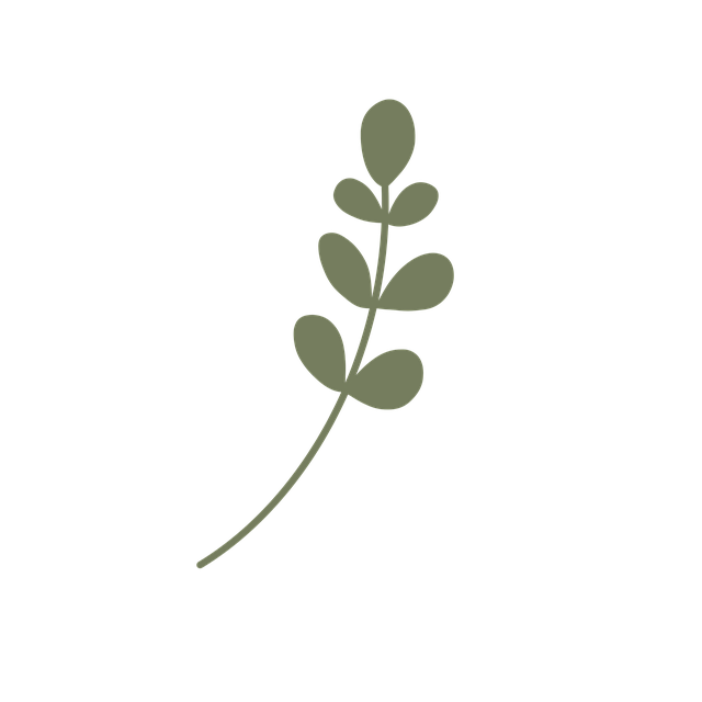 Free plant leaves nature illustration