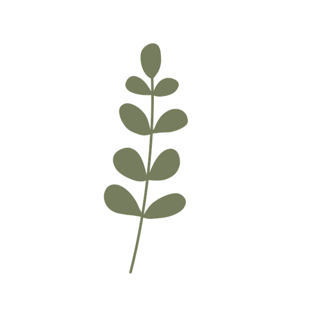 Free plant leaves nature illustration