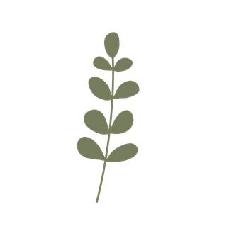 Free Plant Leaves illustration and picture