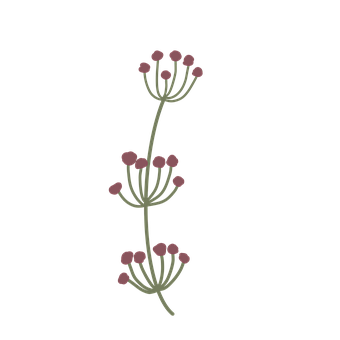 Free Plant Nature illustration and picture