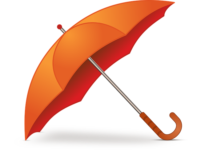 Free Umbrella Weather vector and picture