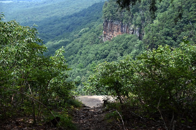 Berg, Landschap, Natuur, Klif, Bomen