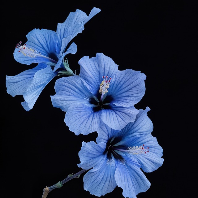 Free ai generated hibiscus hibiscus flowers illustration