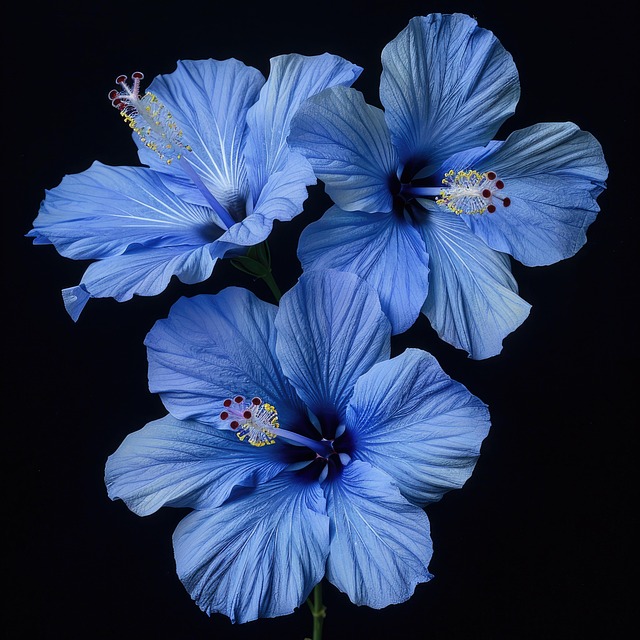 Free ai generated hibiscus hibiscus flowers illustration