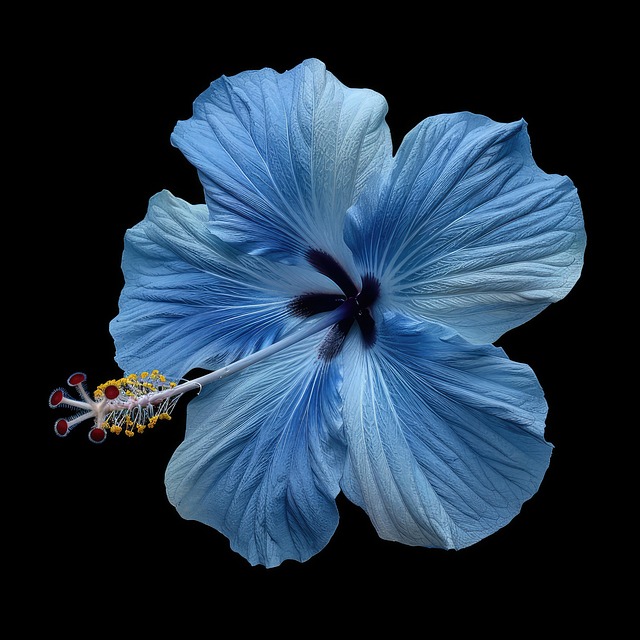 Free ai generated hibiscus hibiscus flowers illustration
