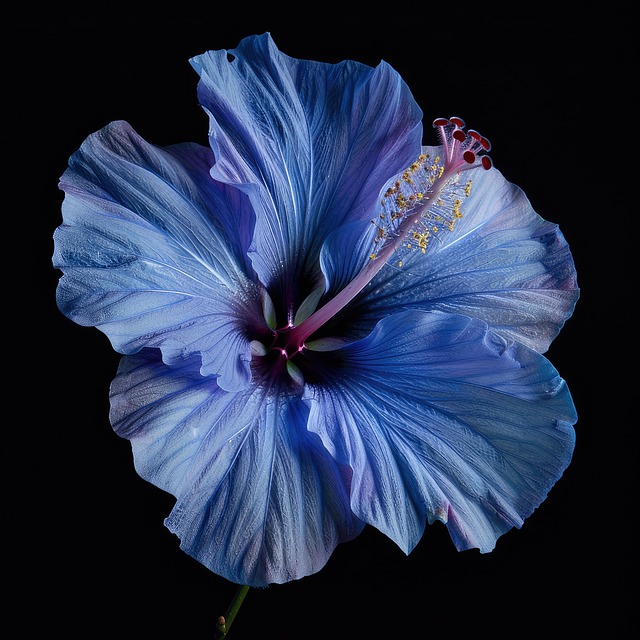 Free ai generated hibiscus hibiscus flowers illustration