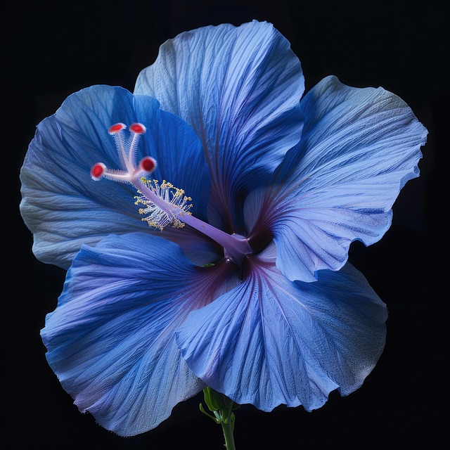 Free ai generated hibiscus hibiscus flowers illustration