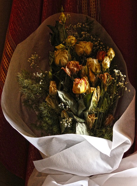 Free Still Life Rose photo and picture