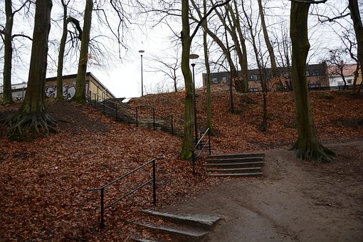 Trappe, Arkitektur, Blad, Natur, Efterår