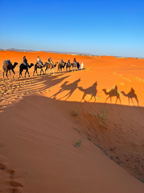 Sáhara, Desierto, Arena, Marruecos