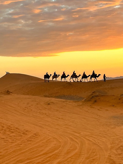 Sahara, Wüste, Sand, Marokko, Düne