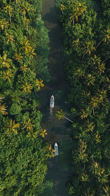 Free River Kerala photo and picture
