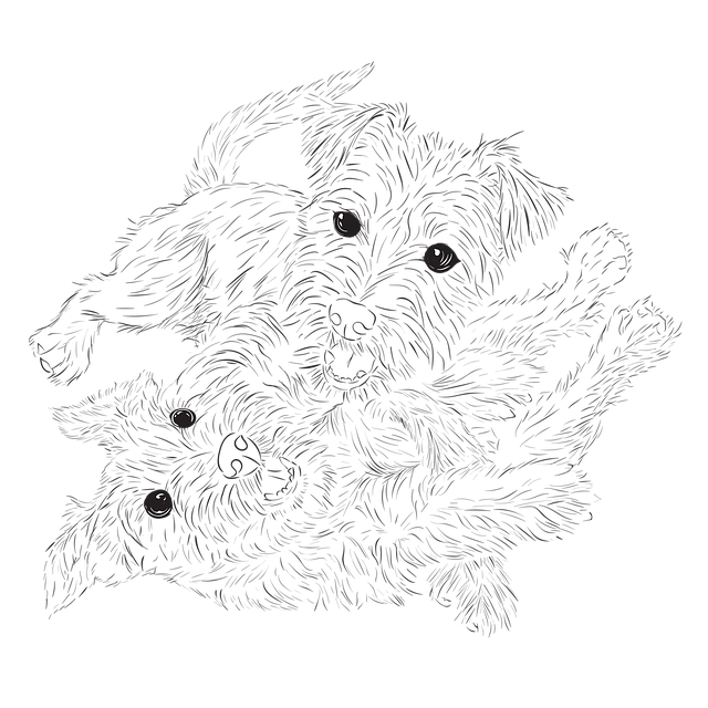 Free terriers domestic hound illustration