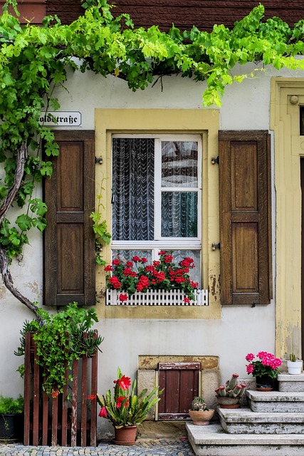Vindue, Facade, Vinstok, Romantisk