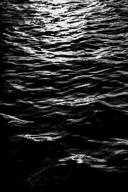 Free Water Waves photo and picture
