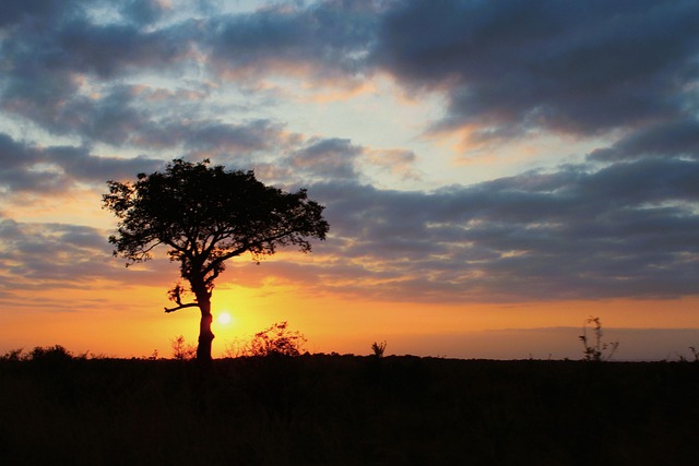 Free African Sunset African photo and picture