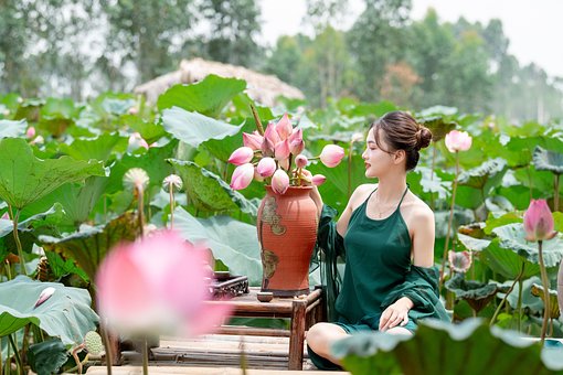 Vietnam, Kvinde, Lotus, Blomster, Dam