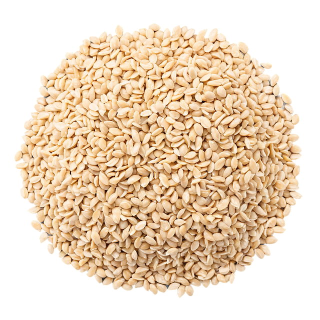 Free ai generated seeds sesame seed illustration
