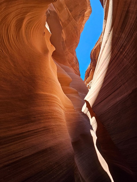 Free Canyon Arizona photo and picture