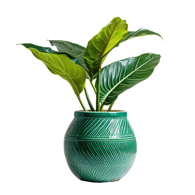 Free ai generated plant pot illustration