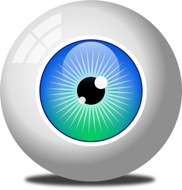 Free eye vision human vector