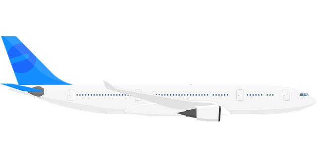 Free Airliner Airplane vector and picture