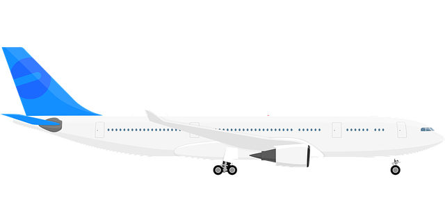 Avión De Pasajeros, Avión